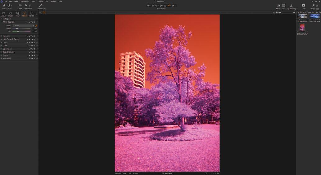 INFRARED (R) PHOTOGRAPHY